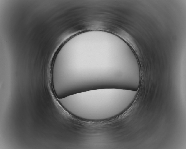X0000088431000200705220850