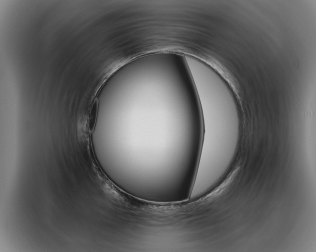 X0000088431001200705220850