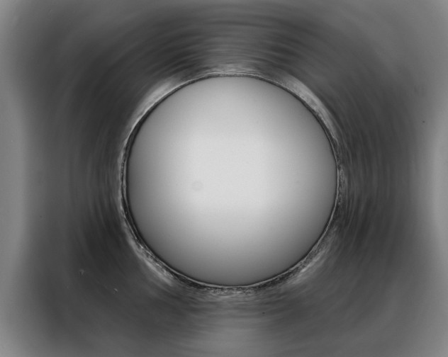 X0000088431002200705220850