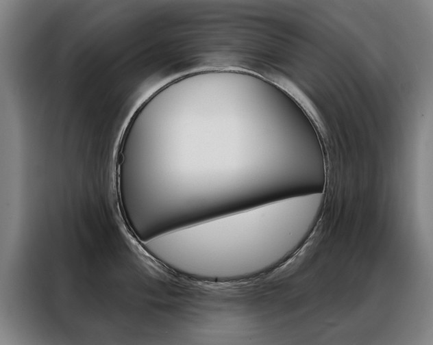 X0000088431004200705220850