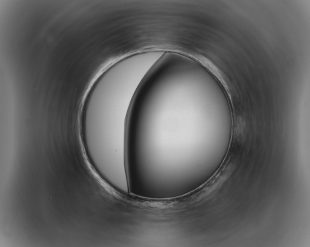 X0000088431005200705220850