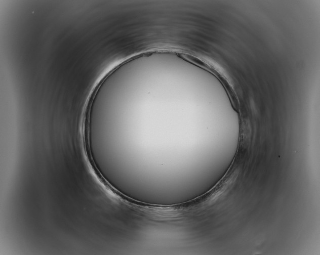 X0000088431007200705220850