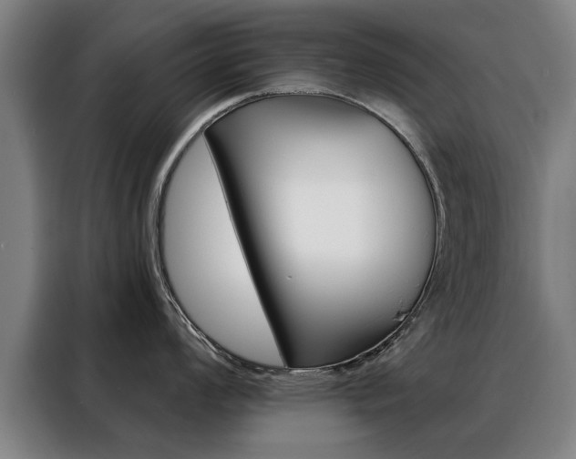 X0000088431008200705220850