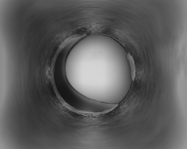 X0000088431010200705220849