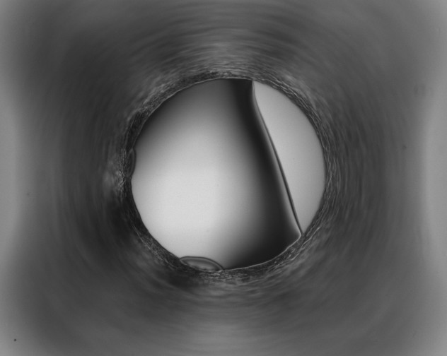 X0000088431012200705220849