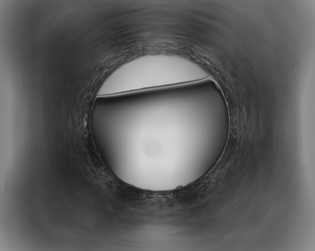 X0000088431013200705220849