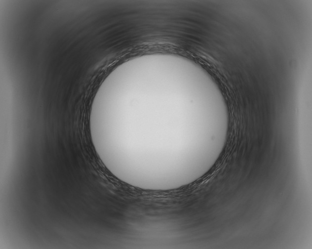 X0000088431014200705220849