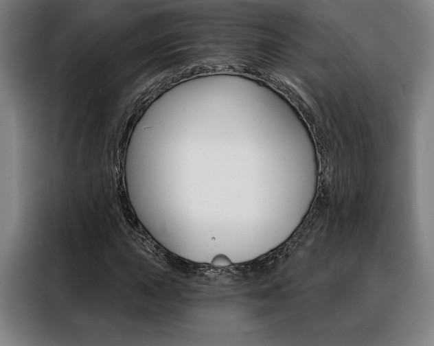 X0000088431015200705220849