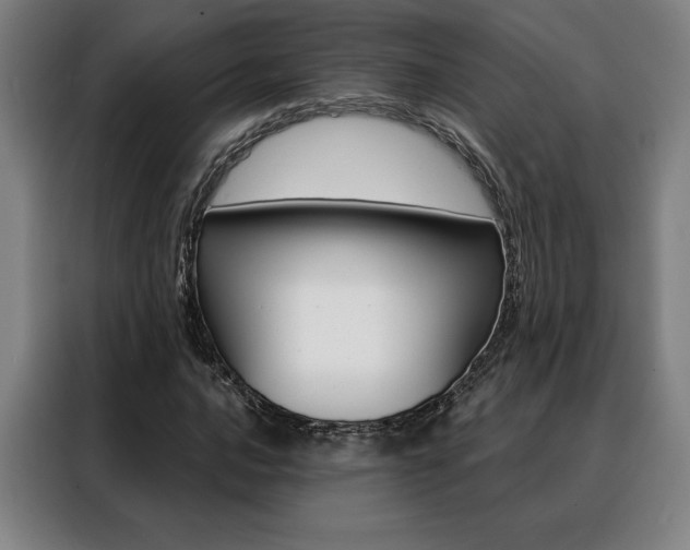 X0000088431016200705220849