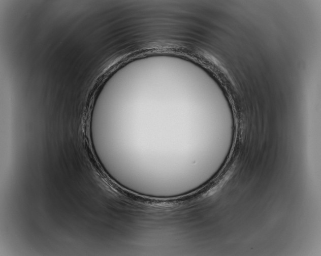 X0000088431017200705220849