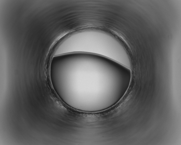X0000088431018200705220849