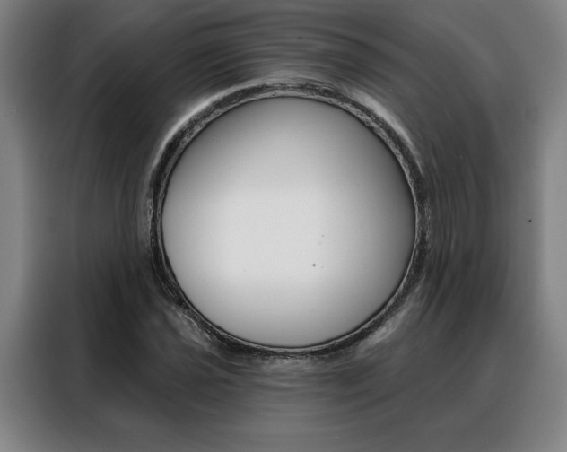 X0000088431021200705220849