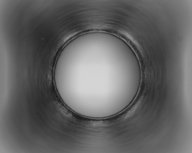 X0000088431025200705220849