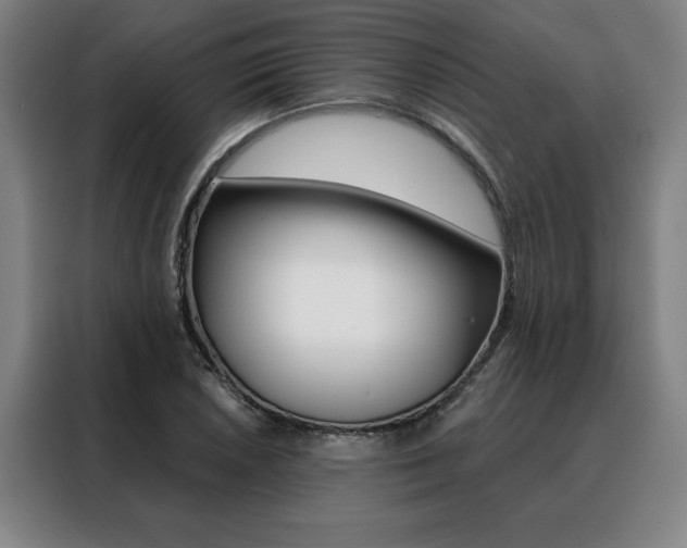 X0000088431026200705220849