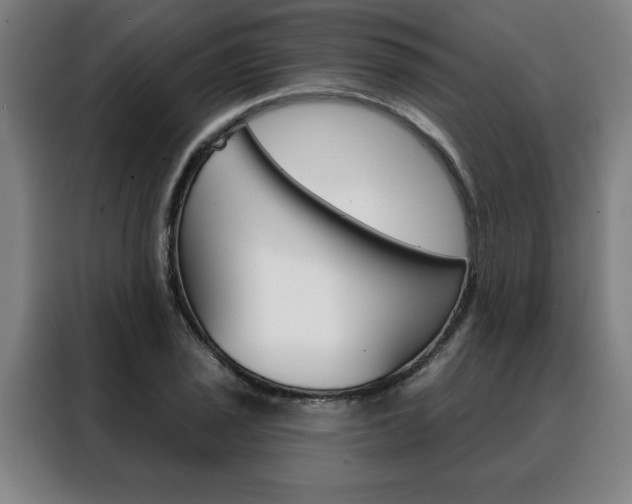 X0000088431029200705220849