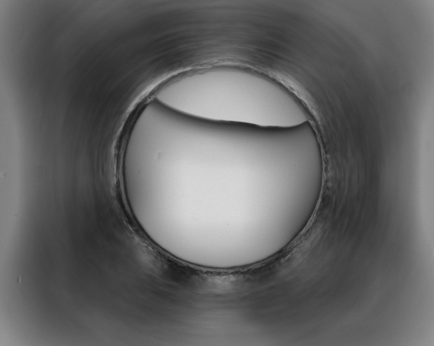 X0000088431031200705220849