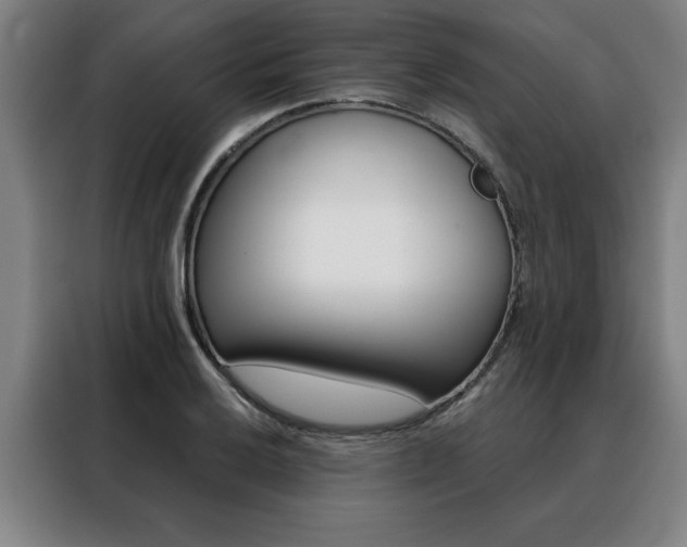 X0000088431032200705220850