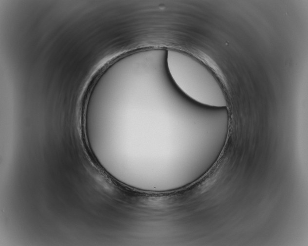 X0000088431035200705220850