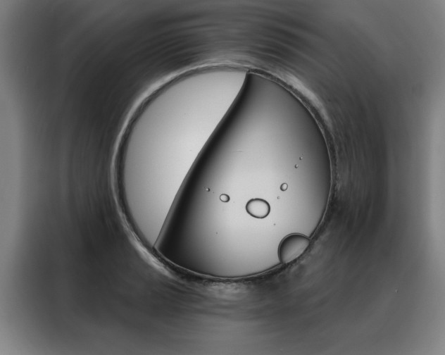 X0000088431037200705220850