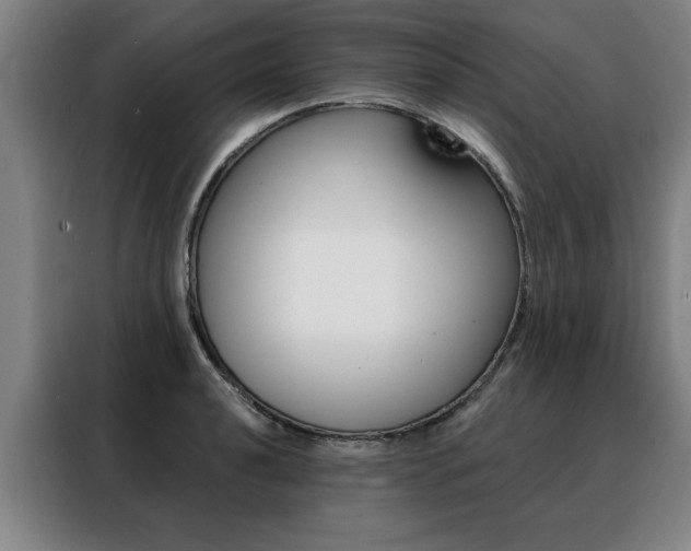 X0000088431040200705220850