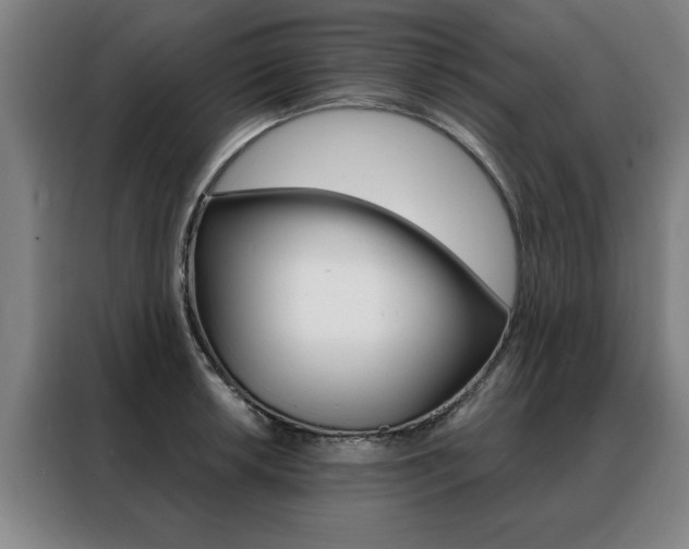 X0000088431042200705220850