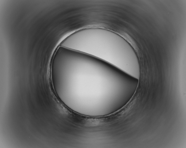 X0000088431044200705220850