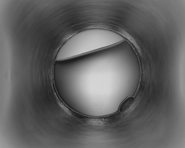 X0000088431049200705220850