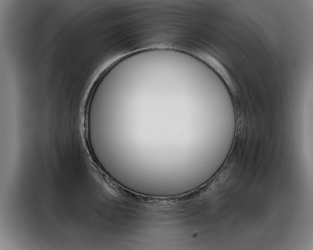 X0000088431051200705220850