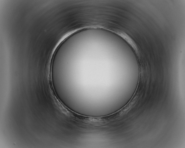 X0000088431052200705220850