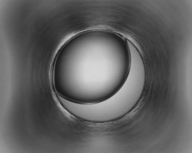 X0000088431054200705220850