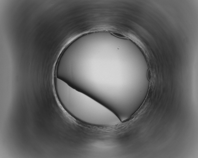 X0000088431055200705220850