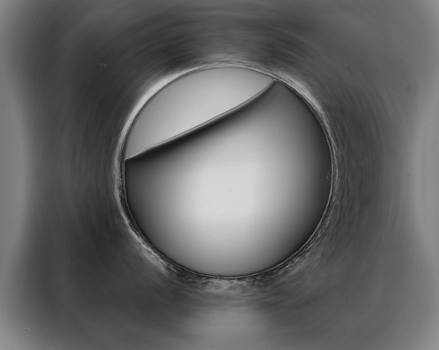 X0000088431056200705220850
