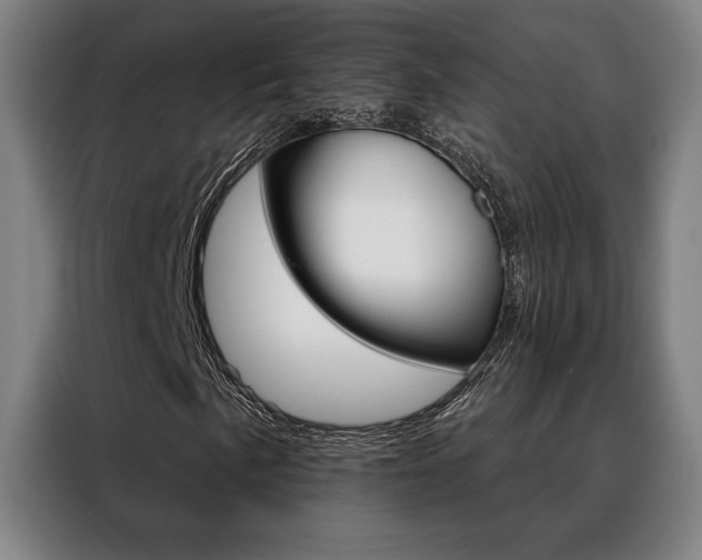 X0000088431057200705220849