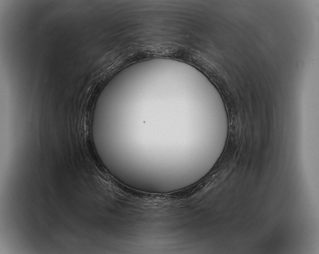 X0000088431058200705220849