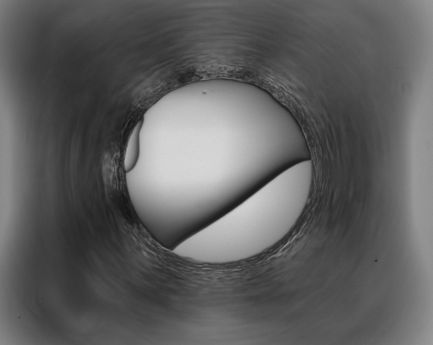 X0000088431059200705220849