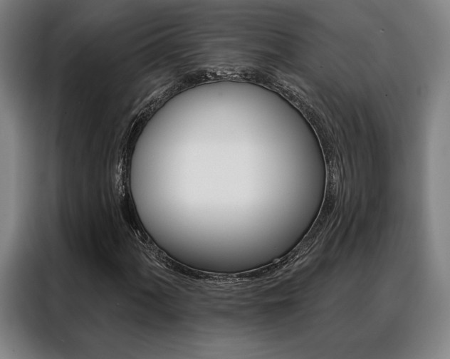 X0000088431060200705220849