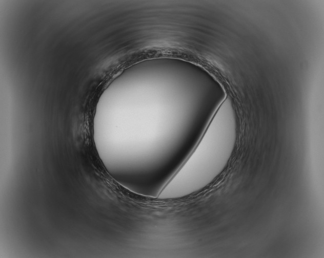 X0000088431062200705220849