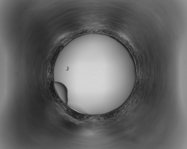X0000088431063200705220849
