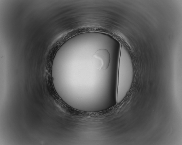 X0000088431064200705220849