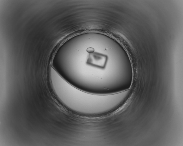 X0000088431065200705220849