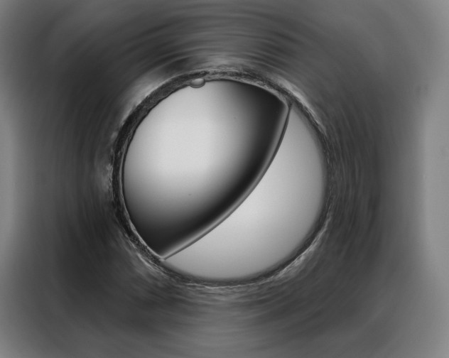 X0000088431066200705220849