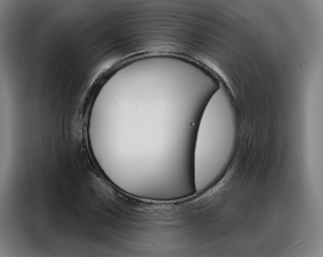 X0000088431067200705220849
