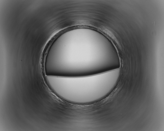 X0000088431068200705220849