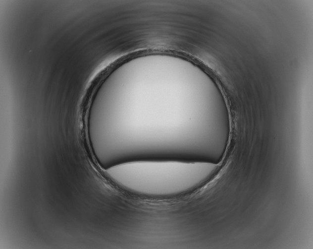 X0000088431070200705220849