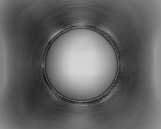 X0000088431073200705220849