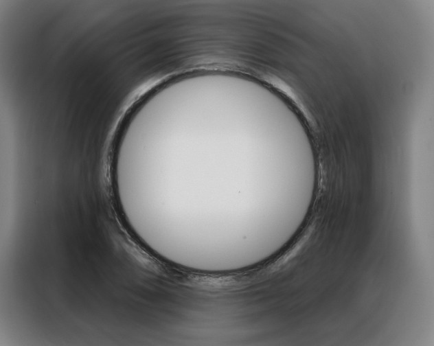 X0000088431074200705220849