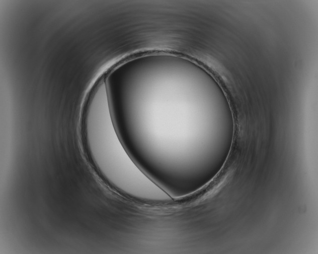 X0000088431077200705220849