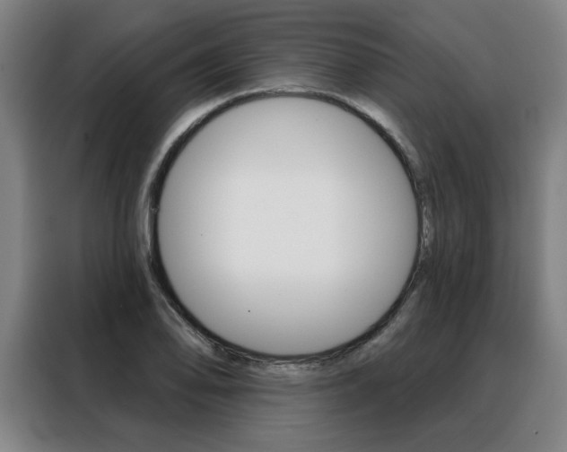 X0000088431078200705220849