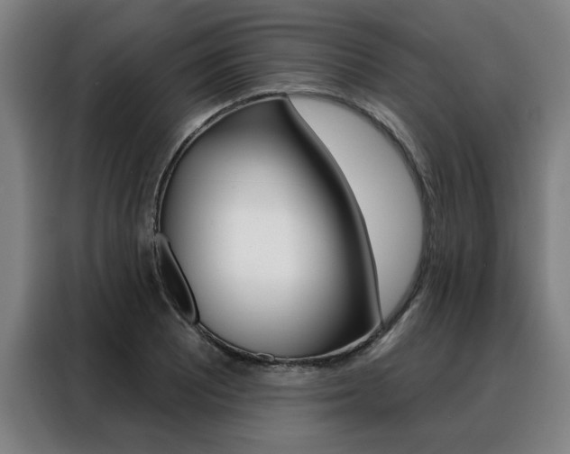 X0000088431081200705220849