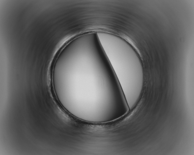 X0000088431082200705220849